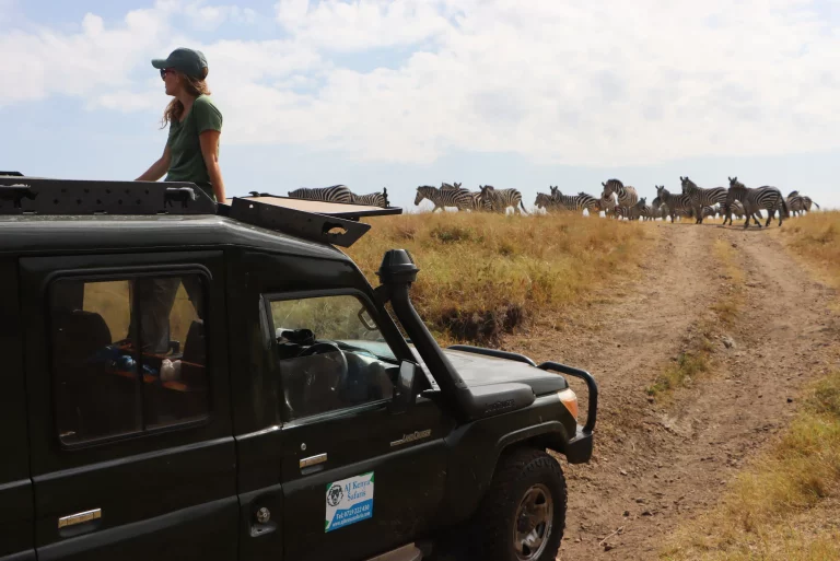 Best time to go to Kenya safari- a tourist observing wildlifr through safari van’s open roof