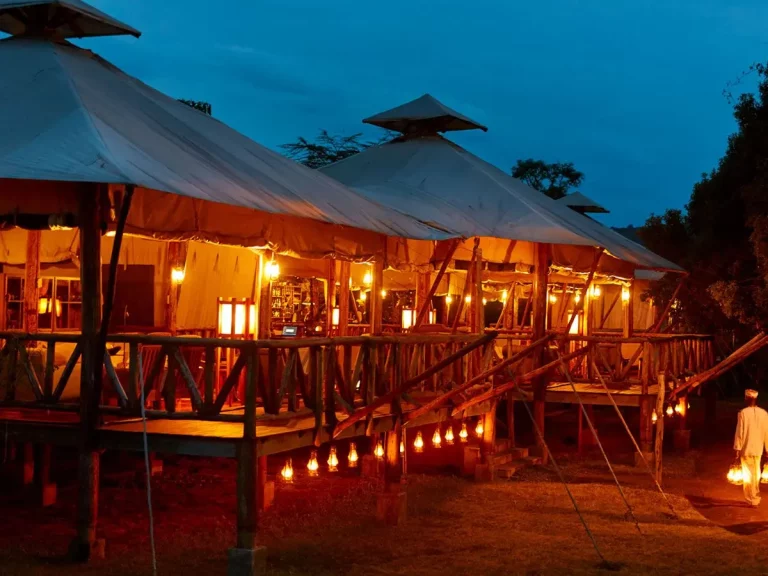 Safari trip south africa- the neptune mara rianta luxury camp