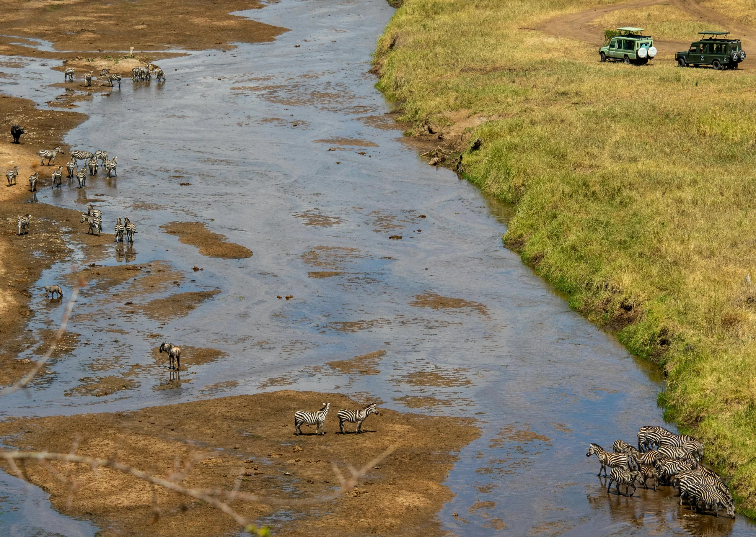 activities to do in masai mara