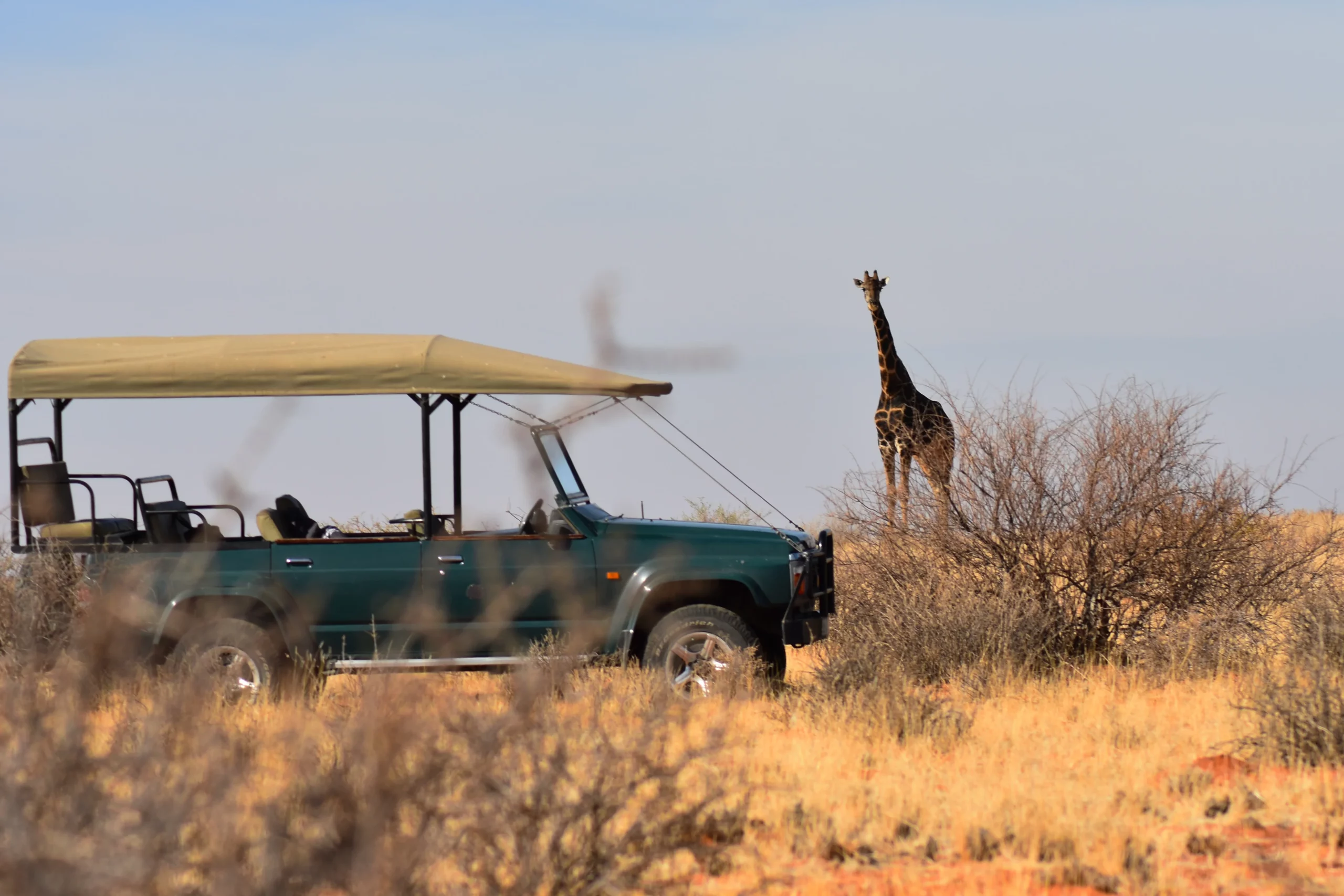 Masai Mara Game Drives