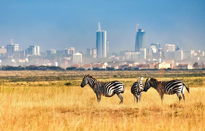 nairobi national park visit