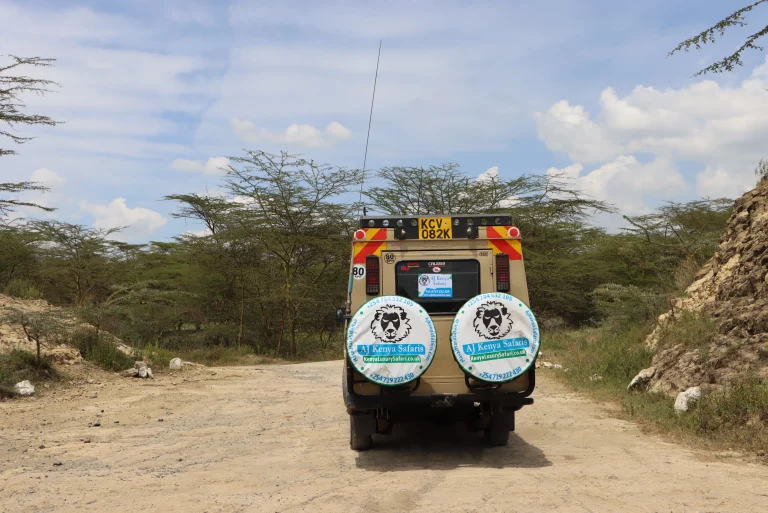 Hot-air balloon safaris- our safari van on its way to the Mara for a game drive