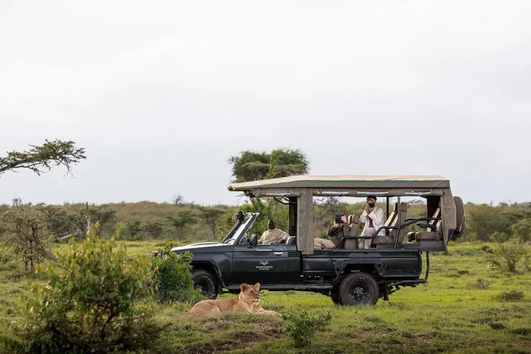 Kenya Itinerary 10 Days - holiday to Masai mara. Giraffes resting. Masai Mara best Lodge - Guests on game drive at Angama Mara