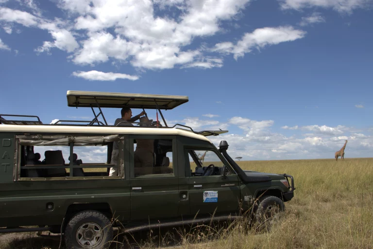 African animal hotel- a tourist inside a safari van uses his binoculars to observe wildlife