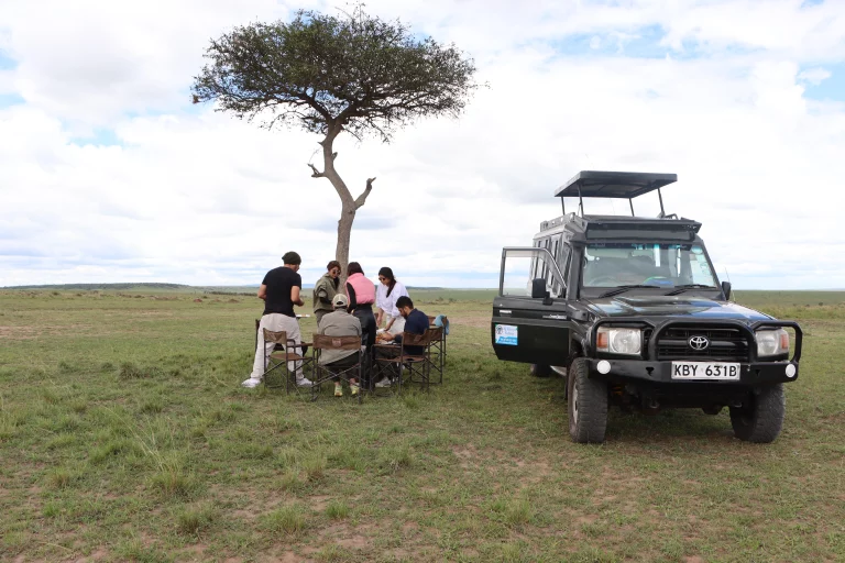 Multi destination holiday- our clients enjoy a picnic lunch in the Mara