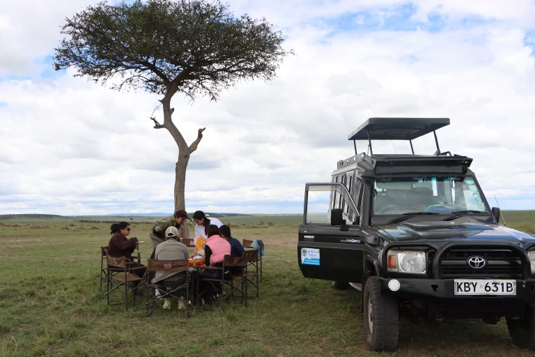 Day trips in Kenya- our clients enjoy a picnic lunch while on a game drive