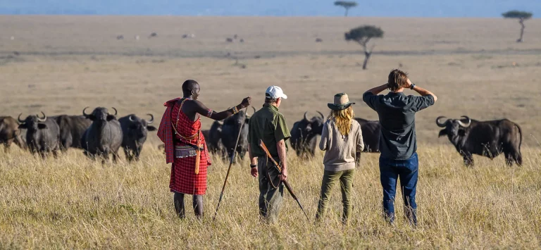 Day trips in Kenya- tourists on a guided bush walk
