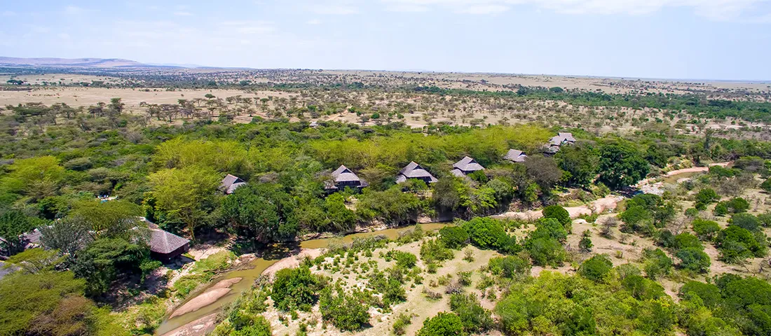 Mara Simba Lodge