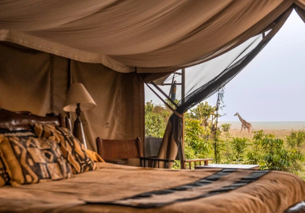 Masai Mara Tented Camp. Governors Camp Tents