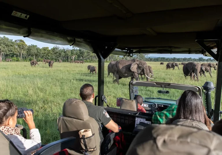 Multi trip holidays- tourists on a game drive in the Mara