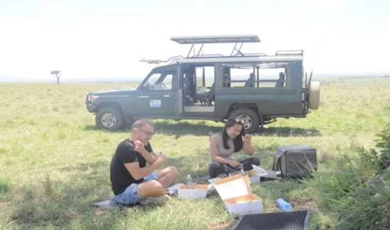 Safari Kenya packages- tourists enjoy a picnic lunch while on a game drive