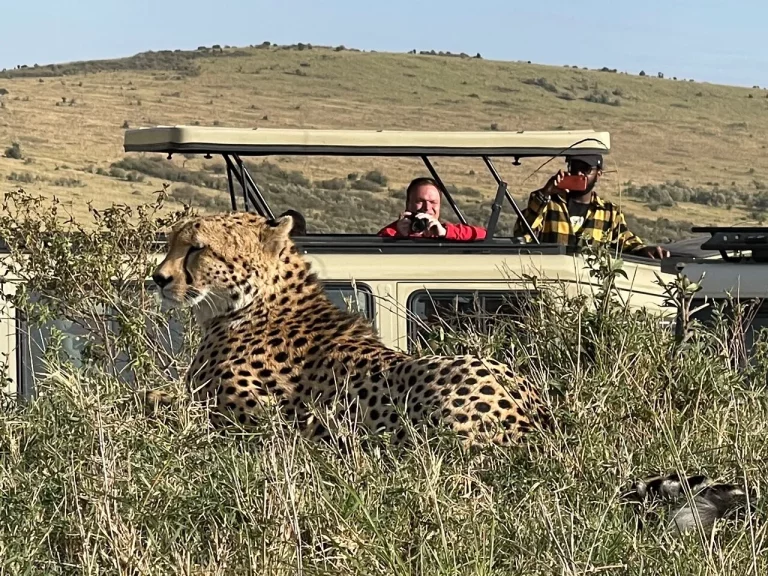 Holidays with multiple destinations- tourists in a landcruiser use binoculars to view a cheetah in the bushes