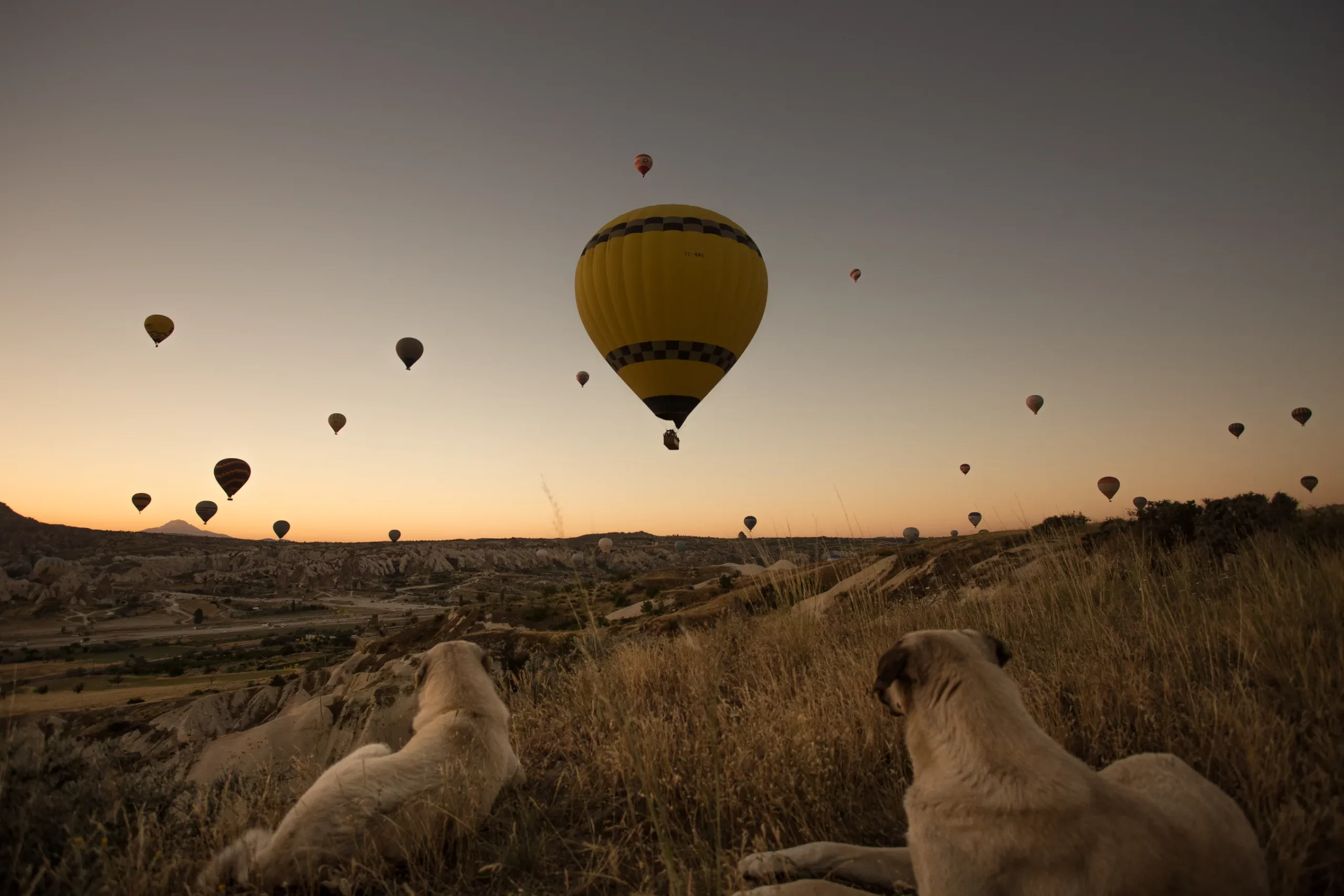 Hot Air Balloon Ride In Masai Mara