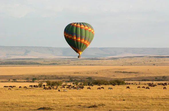 African lodge-a hot air balloon floating above the wildlife and landscape of the mara