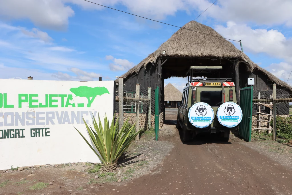 Our guests on a trip to Ol Pejeta Conservancy - A black rhino sanctuary