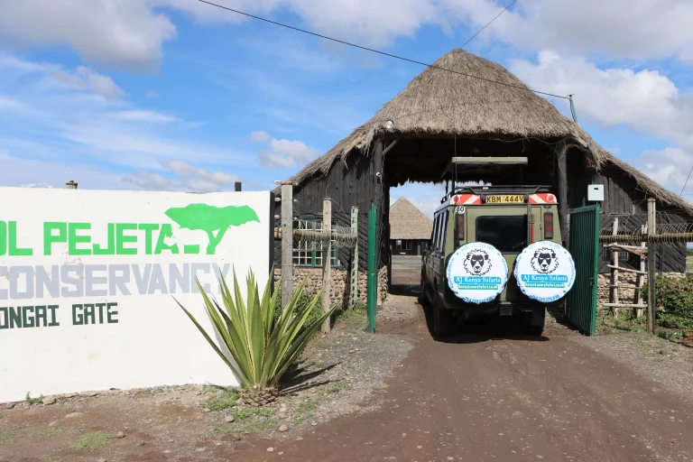 South Africa safari hotels- safari van enters park for a game drive