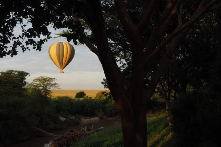 Game drive vs safari- a hot air balloon gliding above the mara landscape