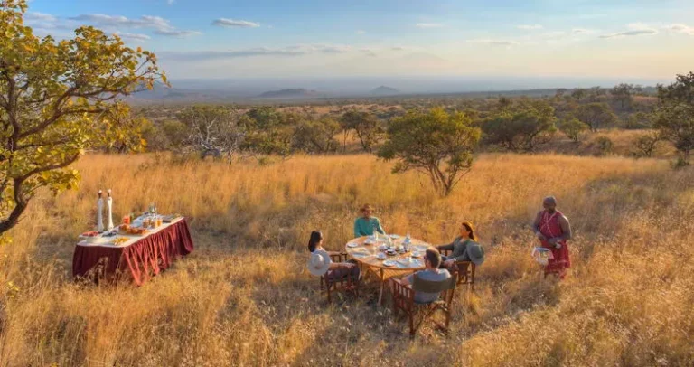 Safari drives- tourists enjoy a bush lunch in the Mara
