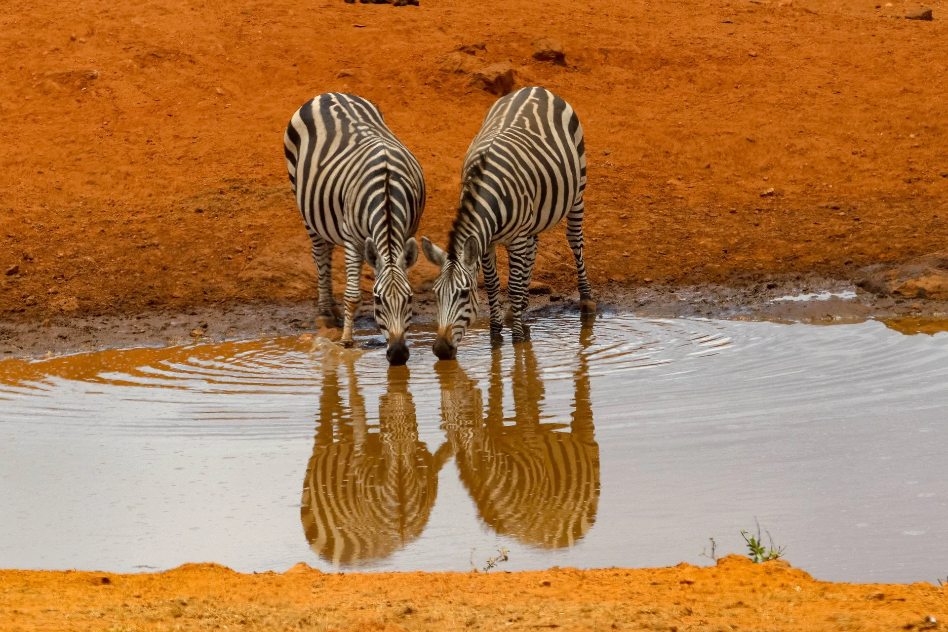 6-Days Kenya Grand Safari