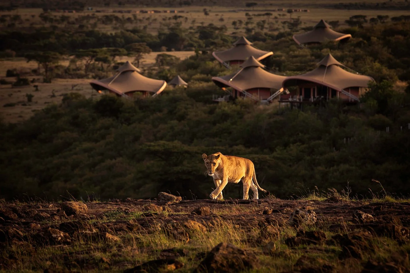 mahali mzuri camp masai mara