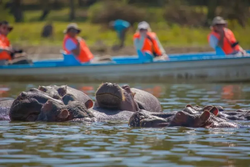 KenyaLuxurySafari.co.ke - Crescent Island Boat