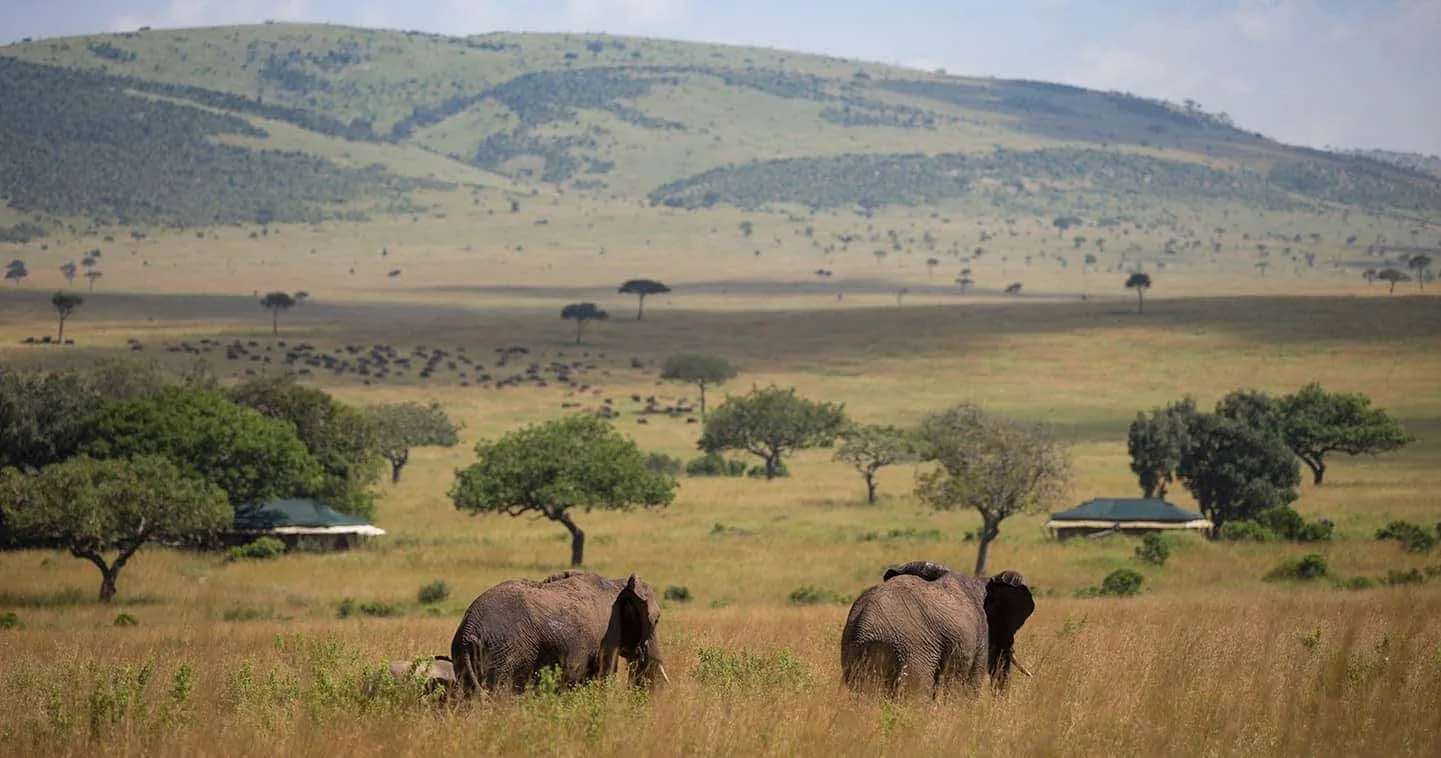 The Mara Tirangle at Oloololo