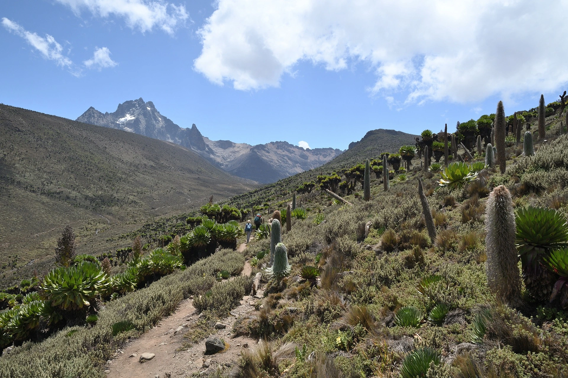 Kenya Mountain - Climbing Mount Kenya - Facts, Routes & Climate