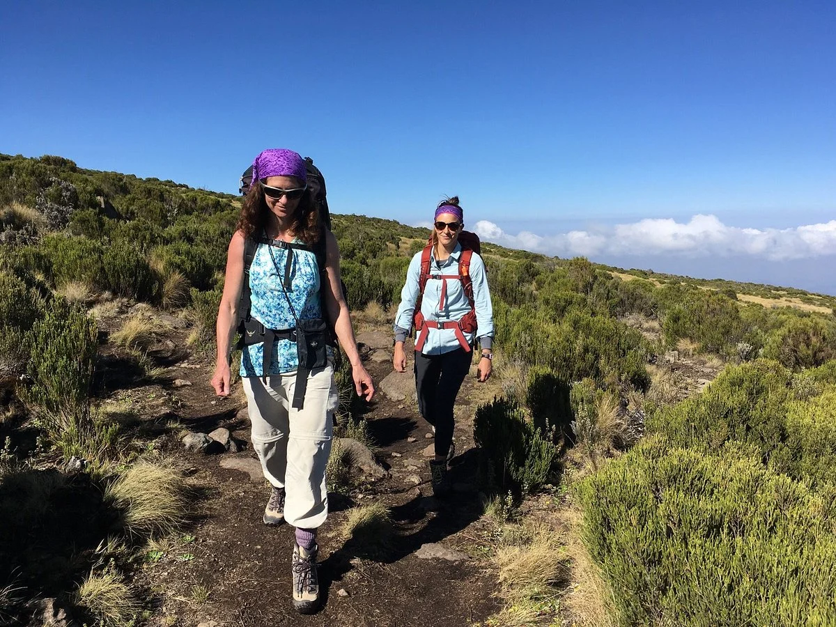 Clients on a leisure hike to Mount Kenya National Park.