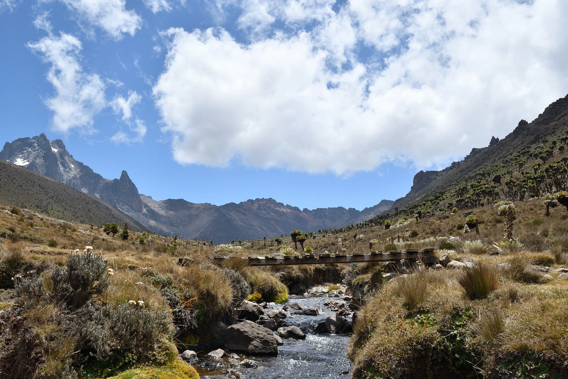Mount Kenya National Park is a Unesco Designated World Heritage Site.