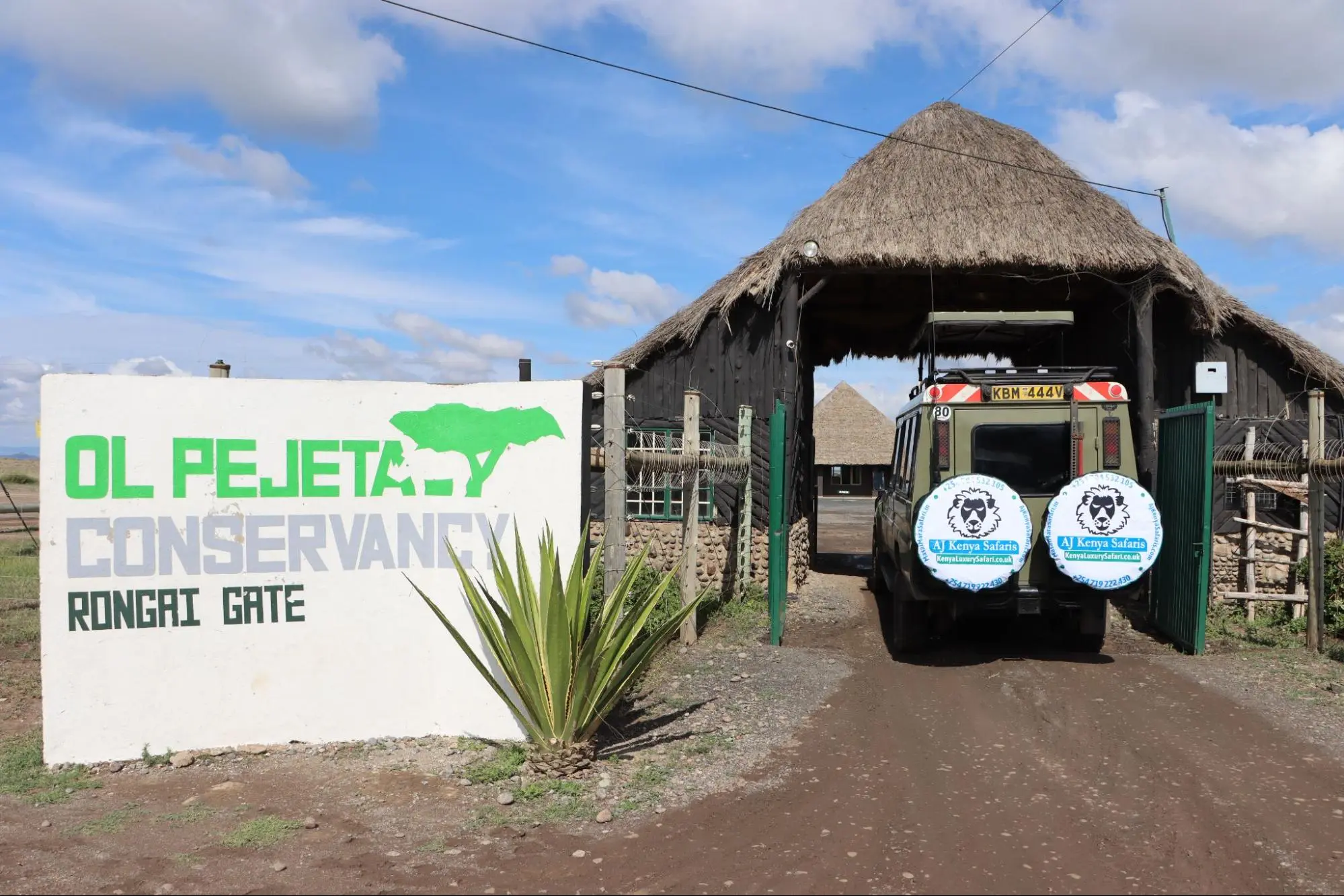 Kenya safari packages in Ol Pejeta Conservancy
