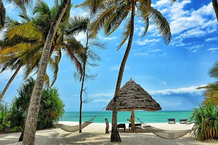 KenyaLuxurySafaris.co.uk - Pongwe Beach