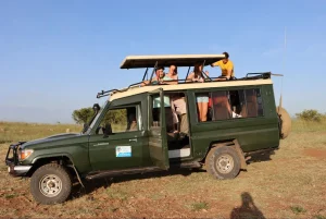 Amboseli National Park Safari - KenyaLuxurySafari.co.uk
