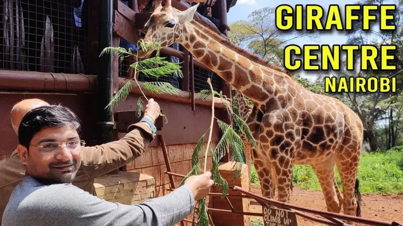 Safari from Nairobi - Giraffe Centre Nairobi