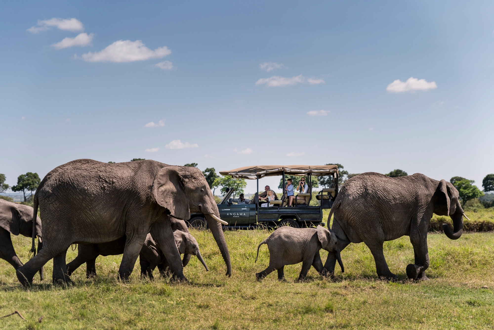 Kenya trip packages - Elephants in Masai Mara