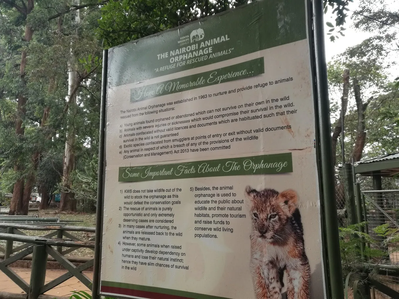 Animal orphanage charges to learn about wildlife conservation - the orphanage is a refuge for orphaned, sick, or injured animals
