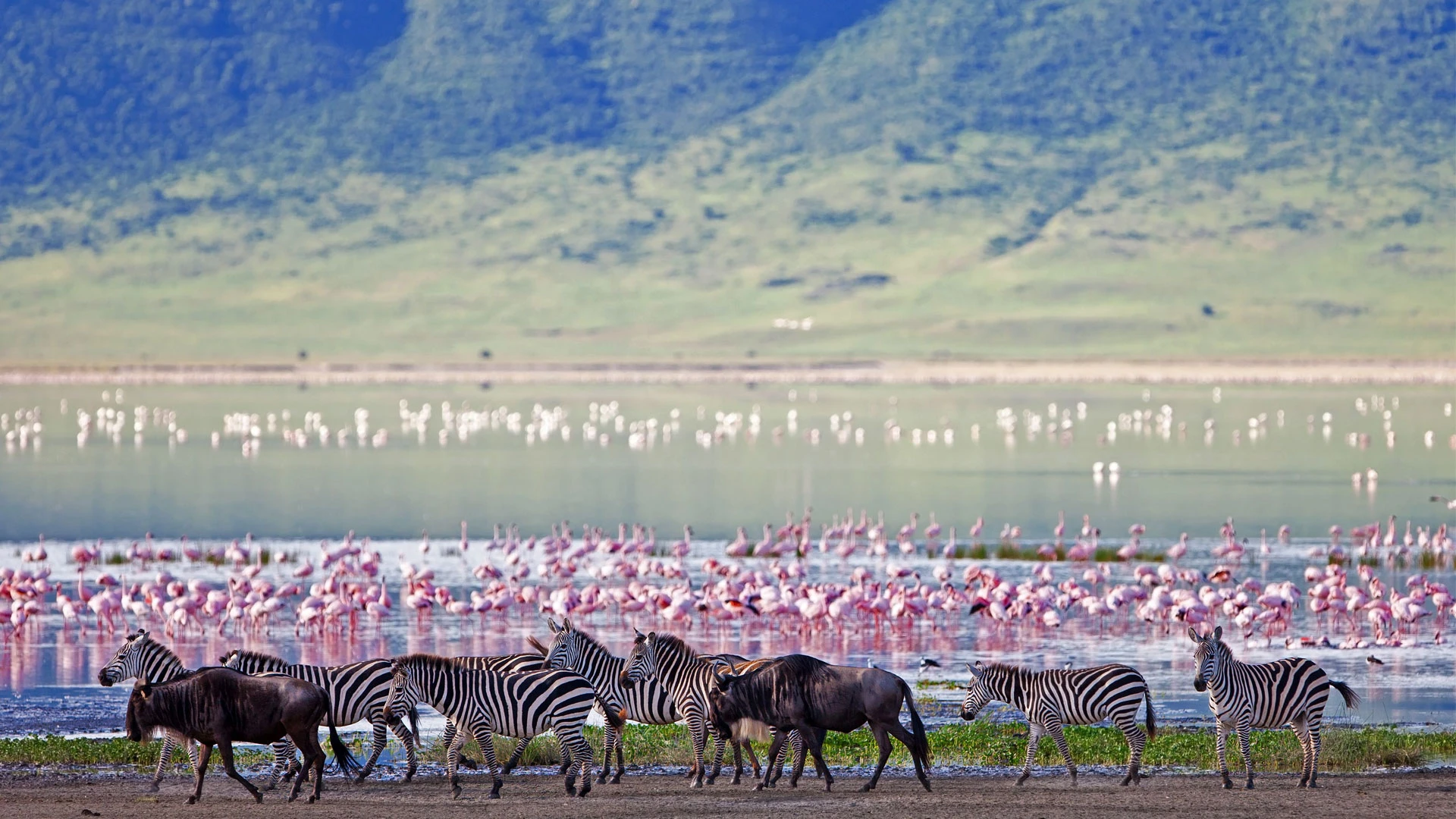 Ngorongoro national park Tanzania