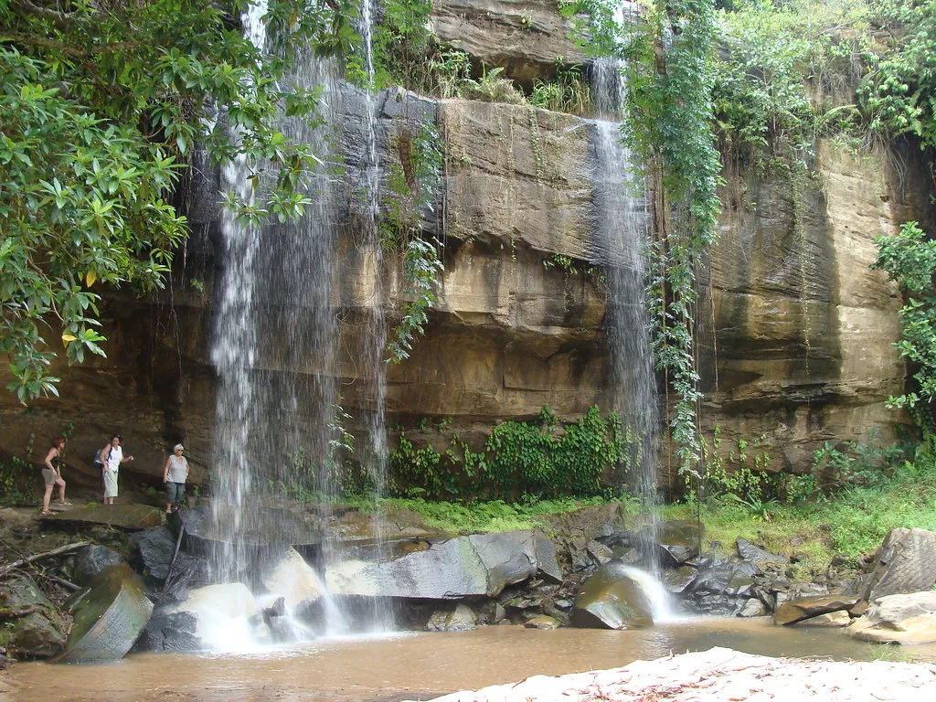 Shimba Hills National Reserve Day Trip