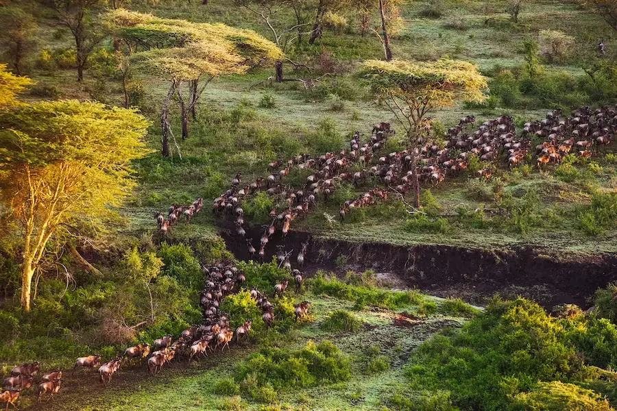 Tanzania family safaris Migration Package