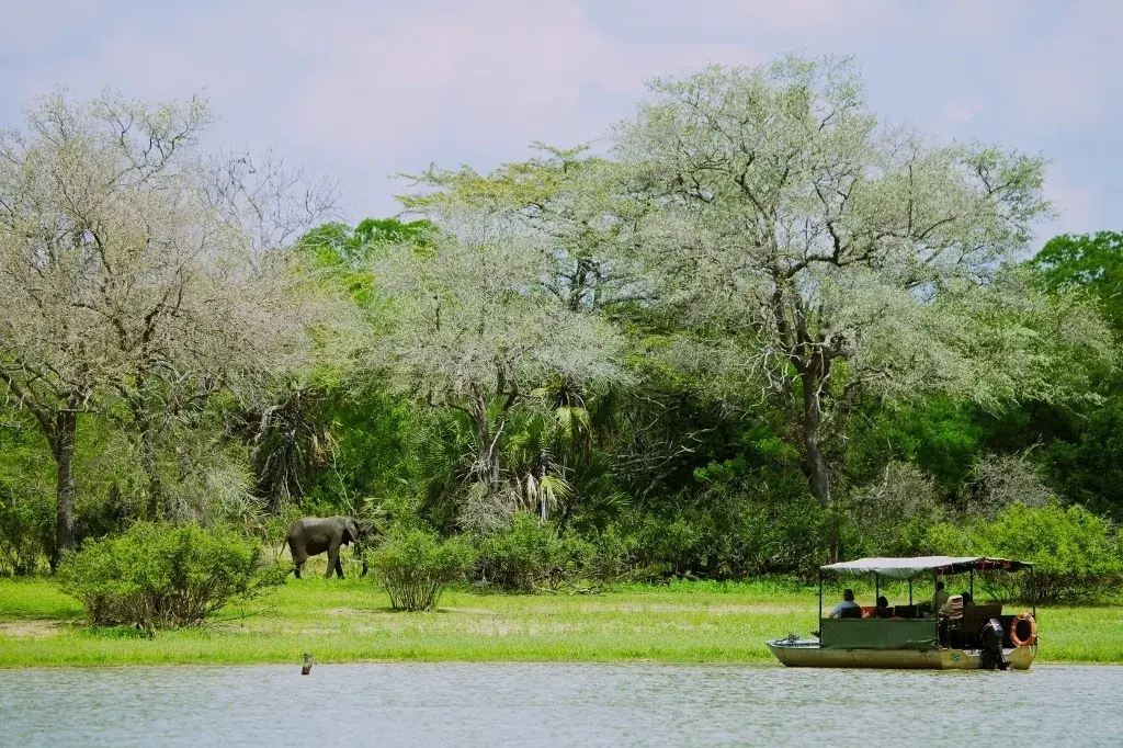 Boat ride on a Southern Tanzania safari
