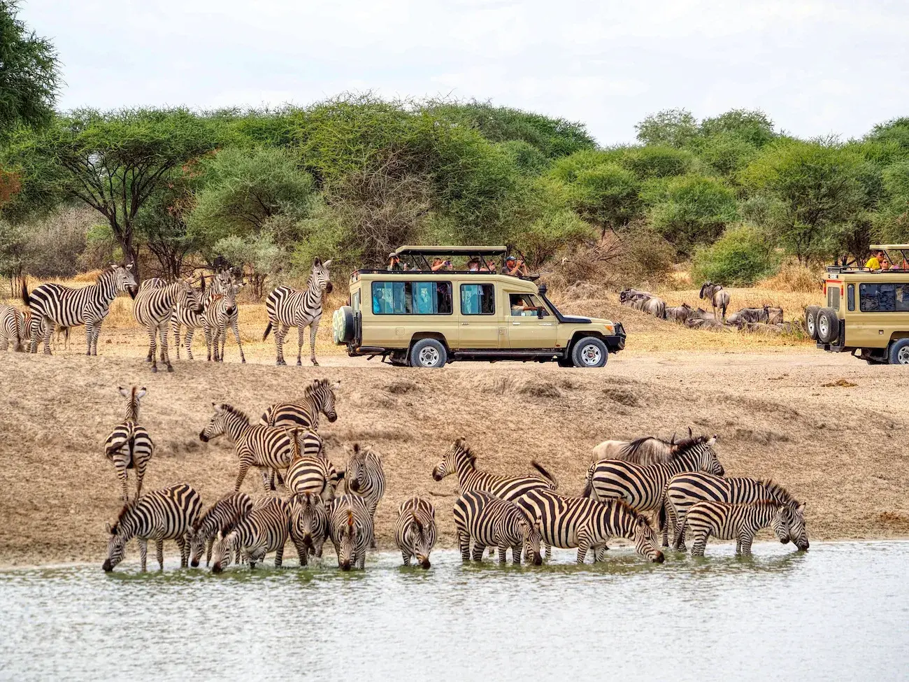 Cutting costs on Budget Tanzania Safari