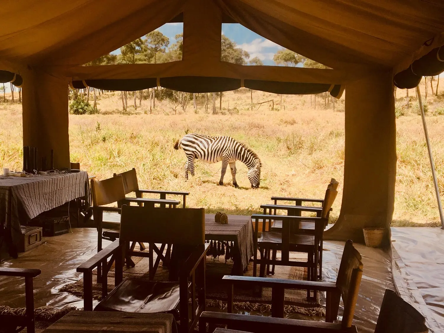 Best Kenya safari lodges for mobile camping - Mobile Expeditions Masai Mara Camp