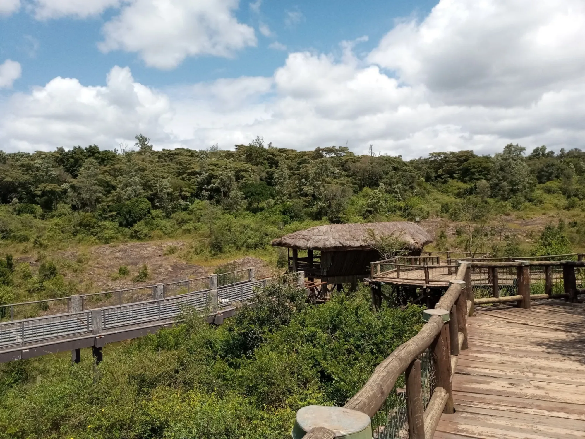 Visiting the Nairobi National Park Safari walk - views of the Nairobi National Park