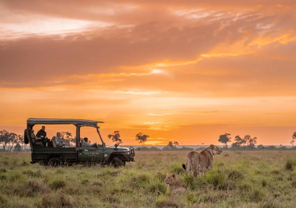 Booking your 4-day Masai Mara Safari from Nairobi - late afternoon game drive in Masai Mara