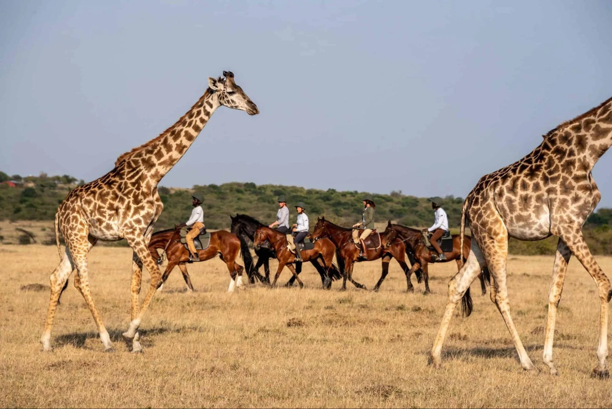 Kenya safari august - guests on a horseback riding safari in Kenya