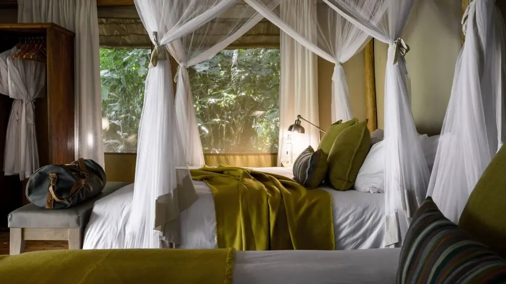 Indulging Uganda luxury tours - The Sanctuary Gorilla Forest Camp