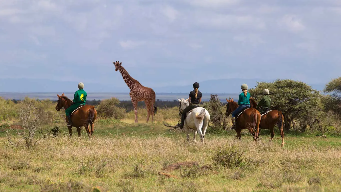 Best activities on Kenya safari packages - horse riding in the wilderness