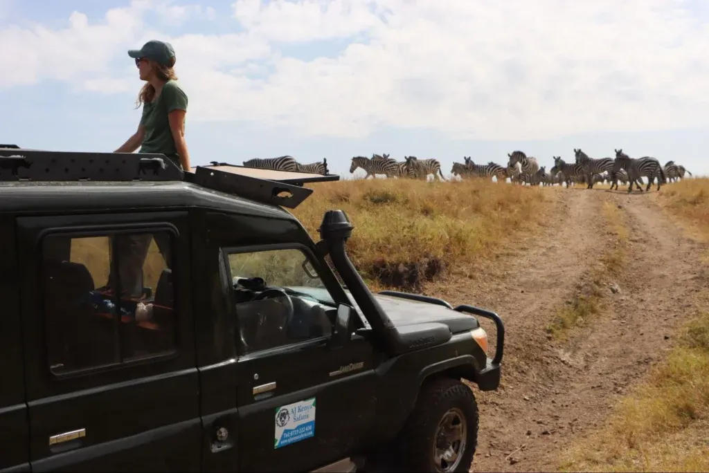 Booking a Masai Mara 3 days 2 nights package - a tourist watching zebras in the Masai Mara