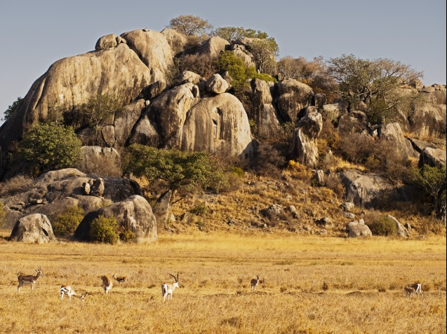 Following the Great Migration Masai Mara in Tanzania - The Kopjes in Serengeti National Park