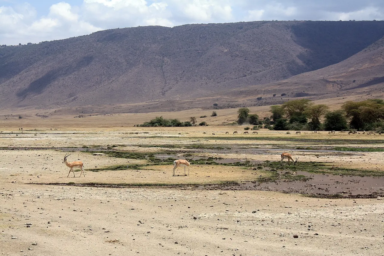 A Zanzibar and safari package to Serengeti and Ngorongoro Crater