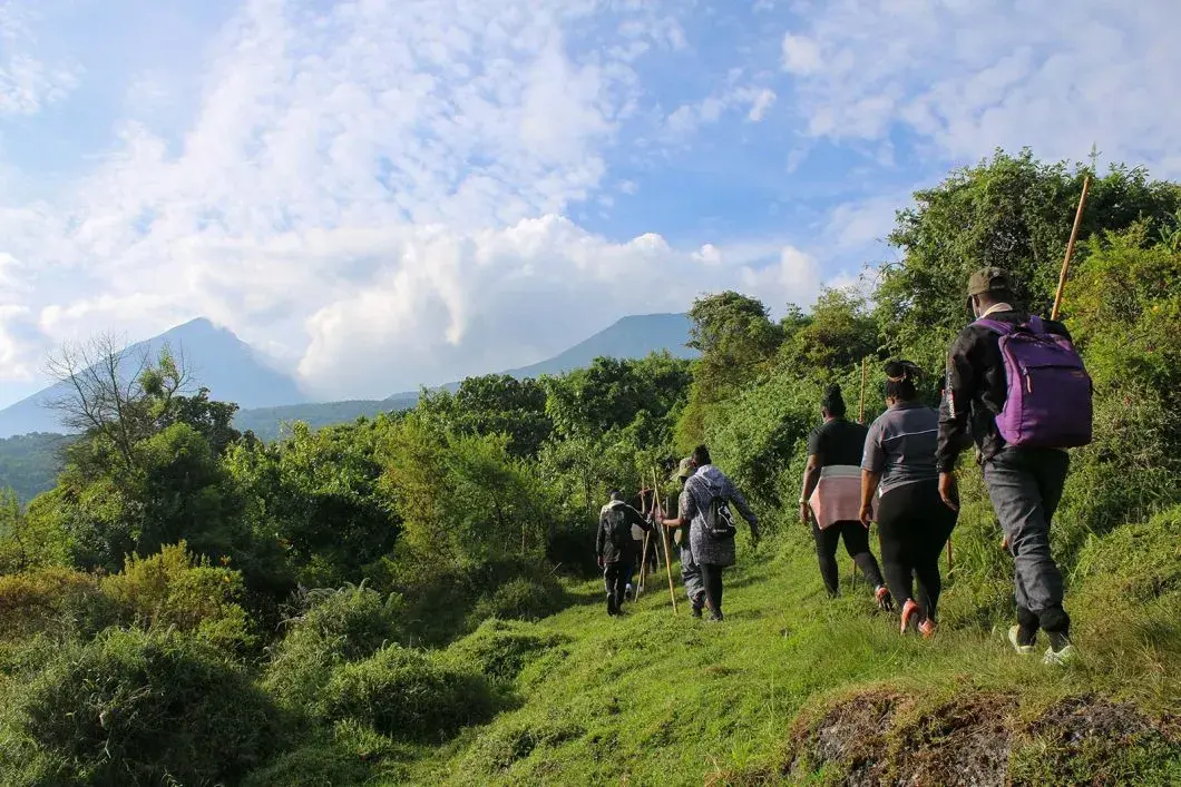 Embarking on Gorilla Uganda Adventures - A group of visitors trekking up Bwindi Impenetrable forest